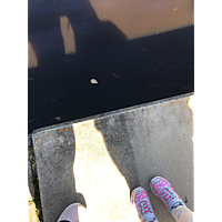 King tide image